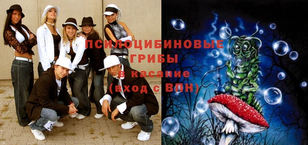гашишное масло Богородицк