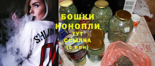 гидра Бородино