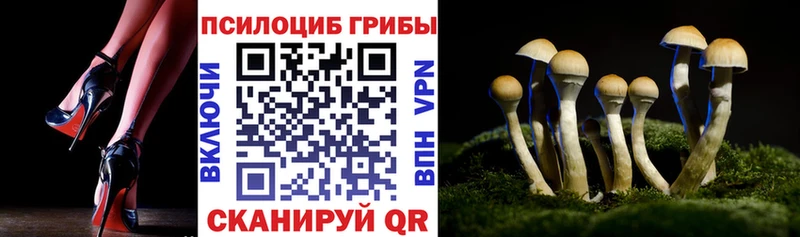 OMG онион  Бородино  Галлюциногенные грибы Cubensis 