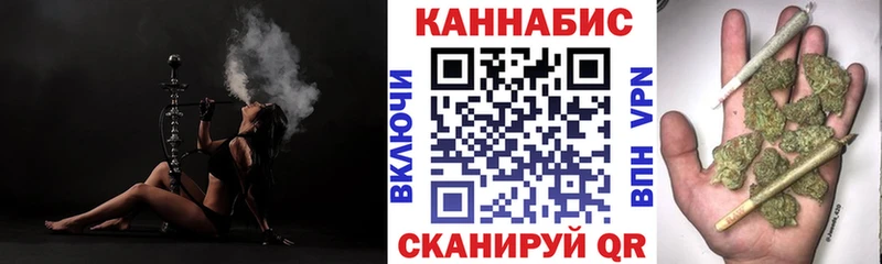 где найти   Бородино  Бошки Шишки семена 